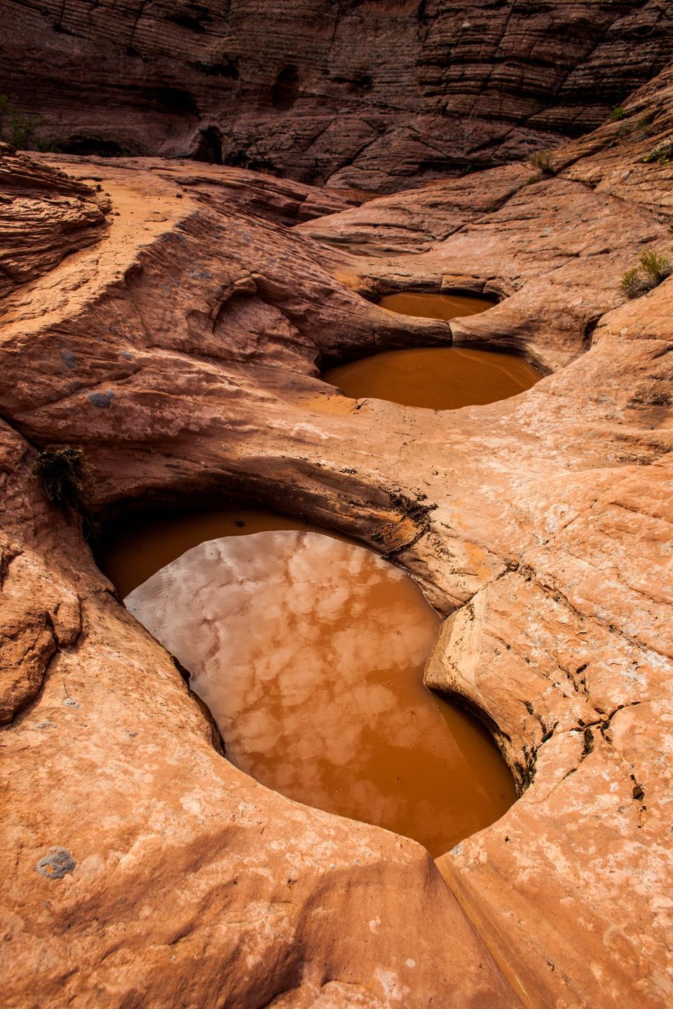 Crimson Pools, Escalante, Utah. Pools eroded by wind and rain remain filled with crimson water after a summer squall.