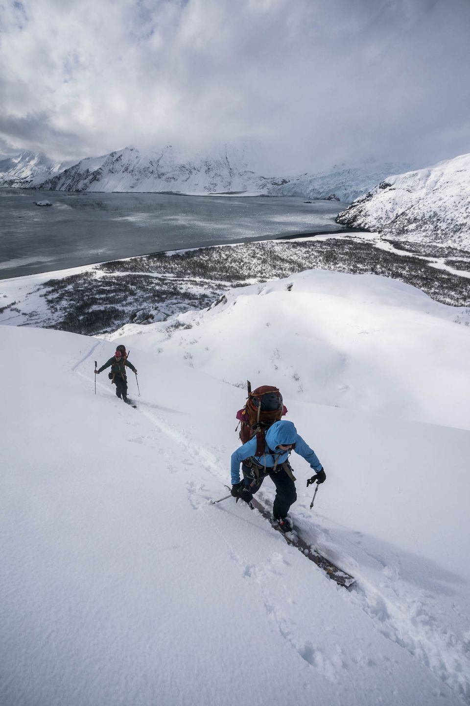 Kenai Fjords National Park :: Sea to Ski, photograph by Craig Wolfrom