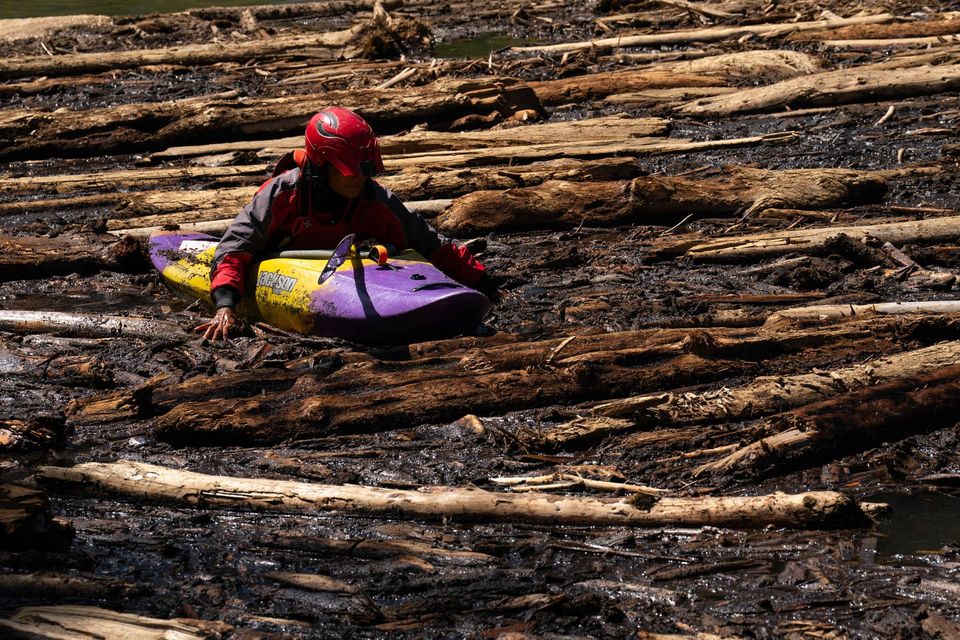 Log Jam, Middle Fork Salmon. After the 2023 blowouts, Bird Lew works through the log soup to reach shore and portage a newly blocked rapid.