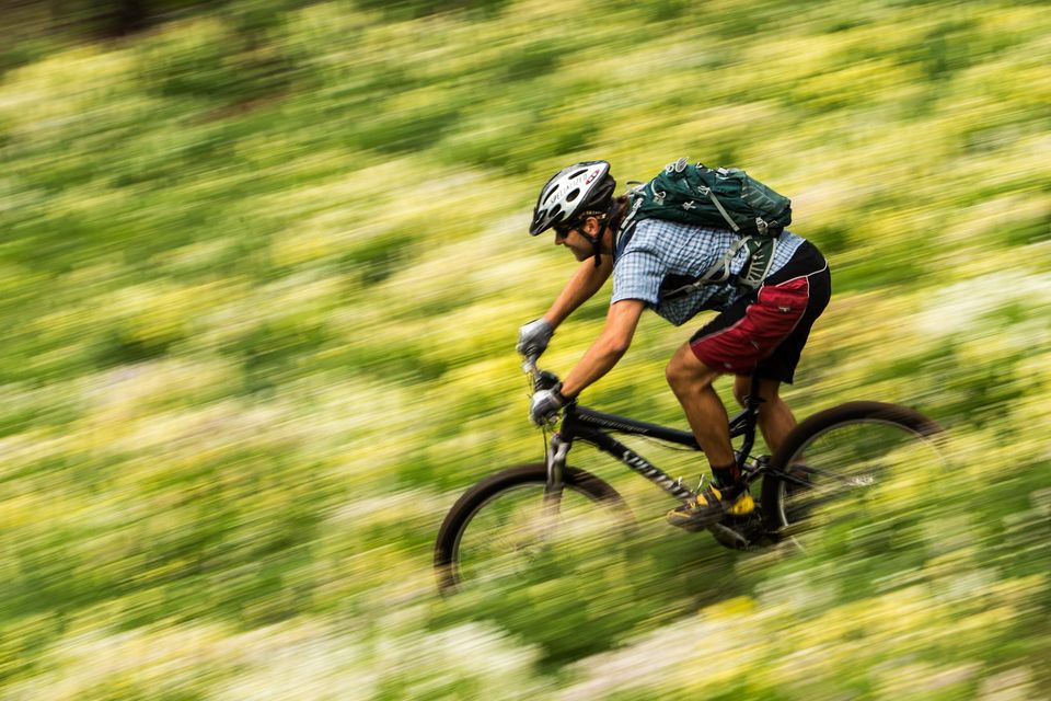 Lupine Dreams. Motion blur through a field of lupine. Early summer brings descents through fields of flowers.