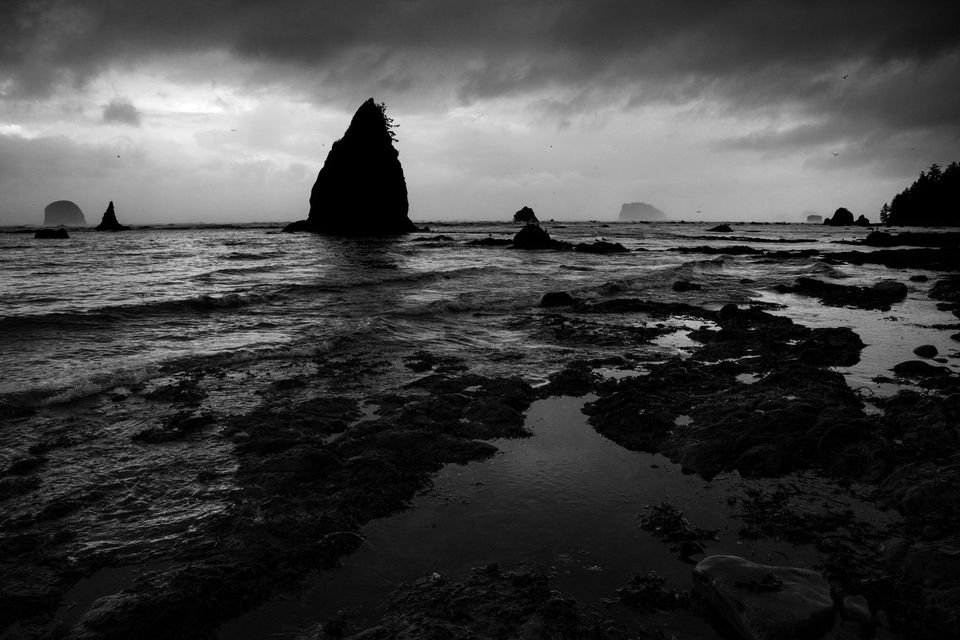 Northwest Coast Storm. A storm slams the northwest coast of Washington's Olympic National Park.