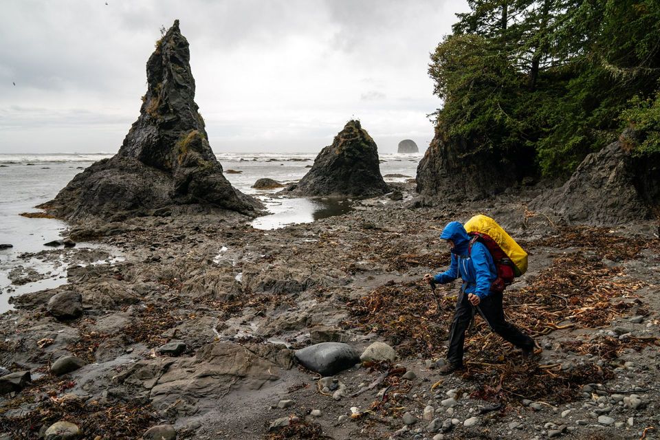 Olympic National Park :: Backpacking Outdoor Education, photograph by Craig Wolfrom