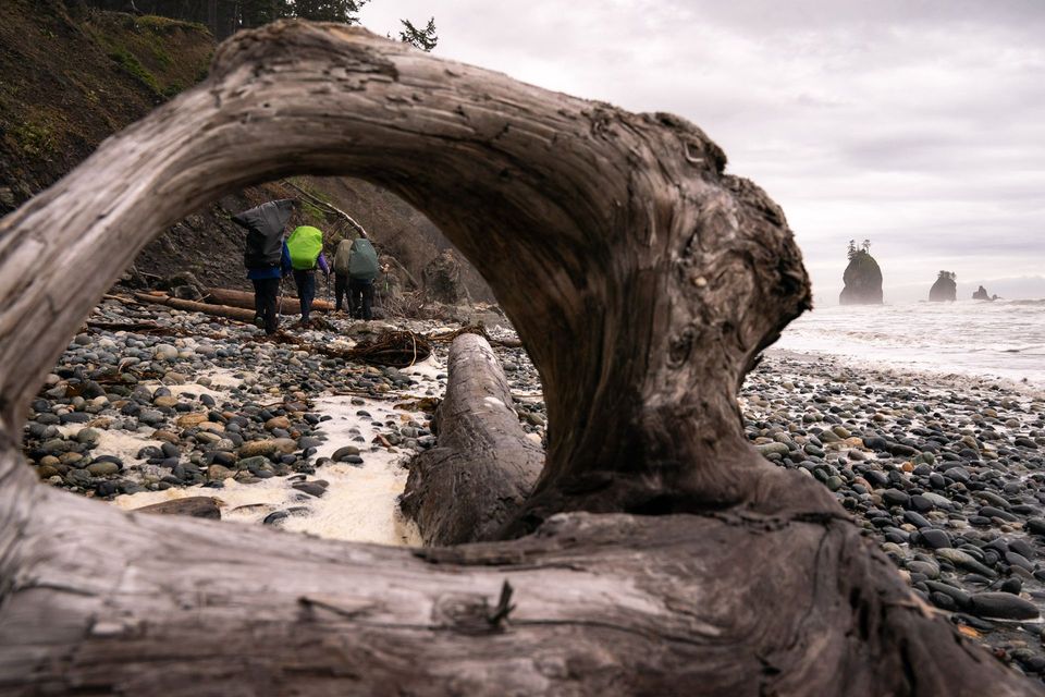Olympic National Park :: Backpacking Outdoor Education, photograph by Craig Wolfrom