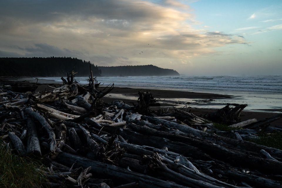 Olympic National Park :: Backpacking Outdoor Education, photograph by Craig Wolfrom