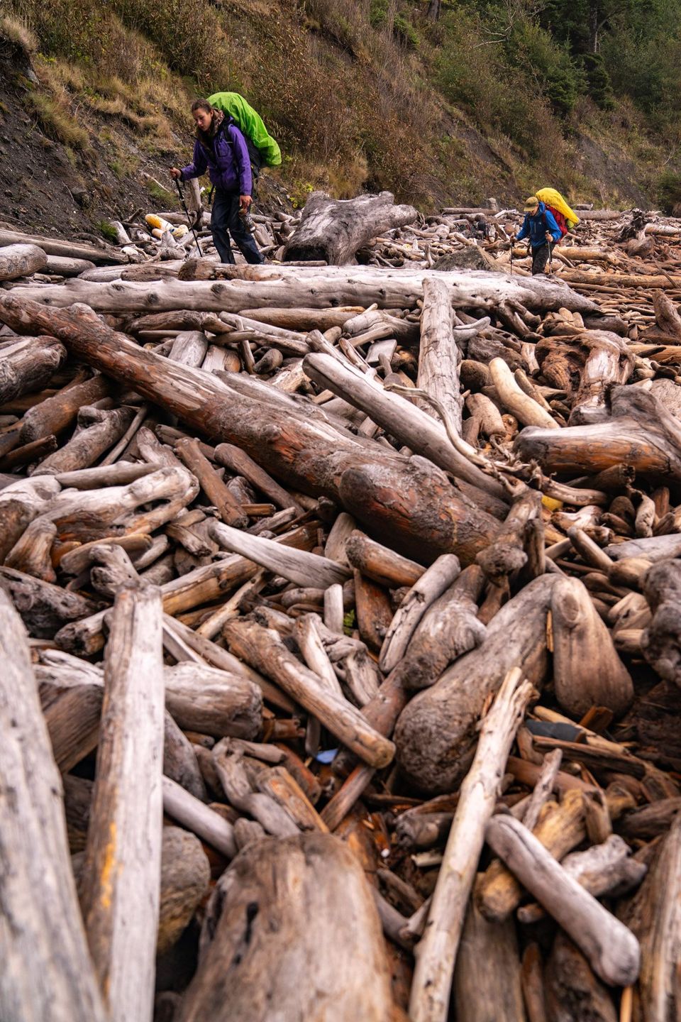 Olympic National Park :: Backpacking Outdoor Education, photograph by Craig Wolfrom