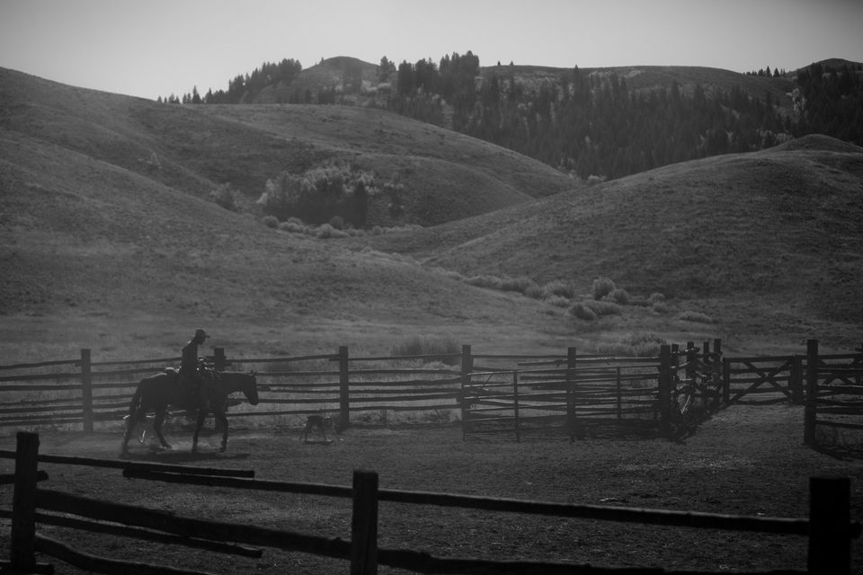 Roundup No. 10, photograph by Craig Wolfrom