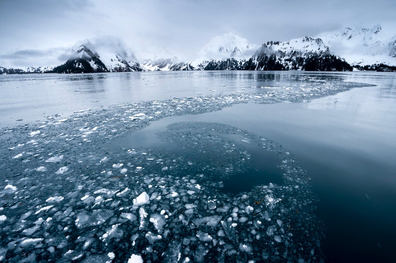 Swirling Ocean Ice, Kenai Fjords, Alaska. Swirling ocean ice in Aialik Bay in early April, Kenai Fjords National Park.