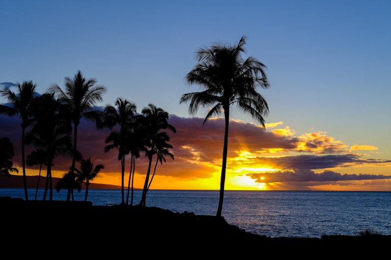 Tropical Beach Sunset. Who doesn't love a sunset on the beach?